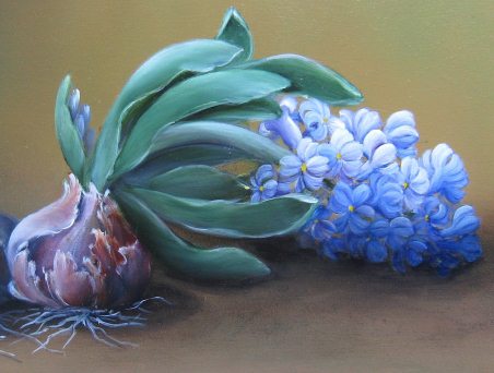 forside_hyacinth_452x342